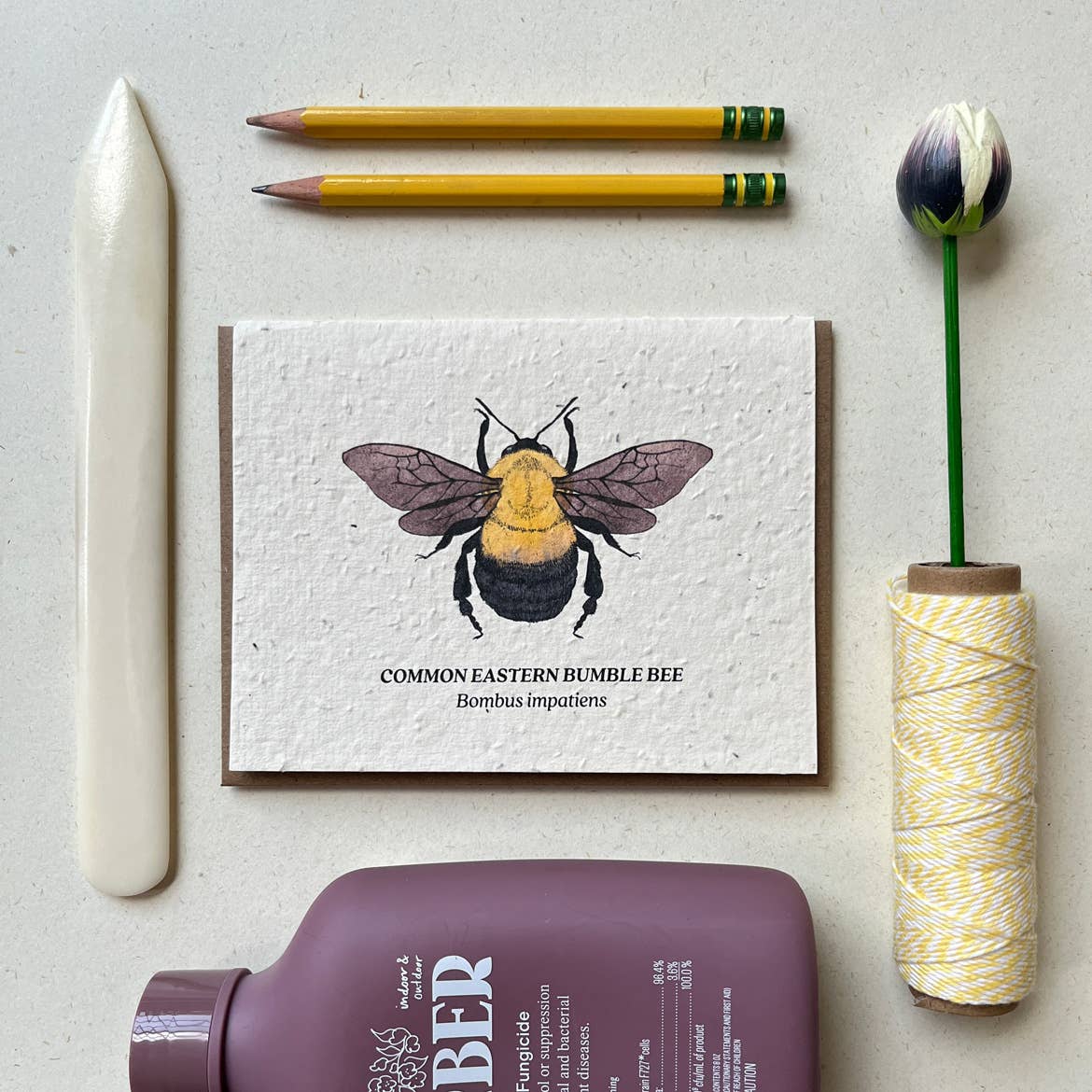 Bumble Bee Plantable Wildflower Seed Card: Glassine Sleeves