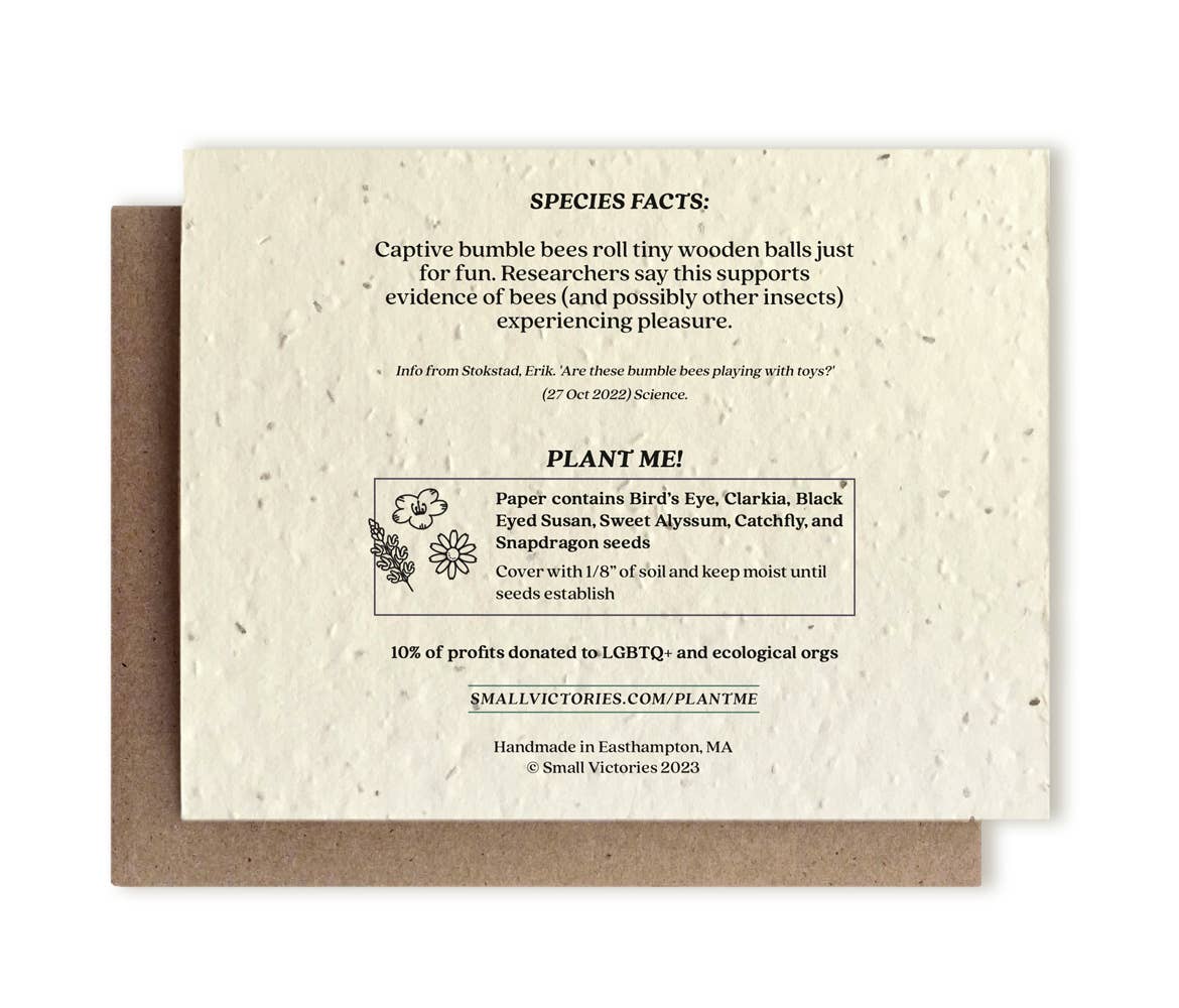 Bumble Bee Plantable Wildflower Seed Card: Glassine Sleeves