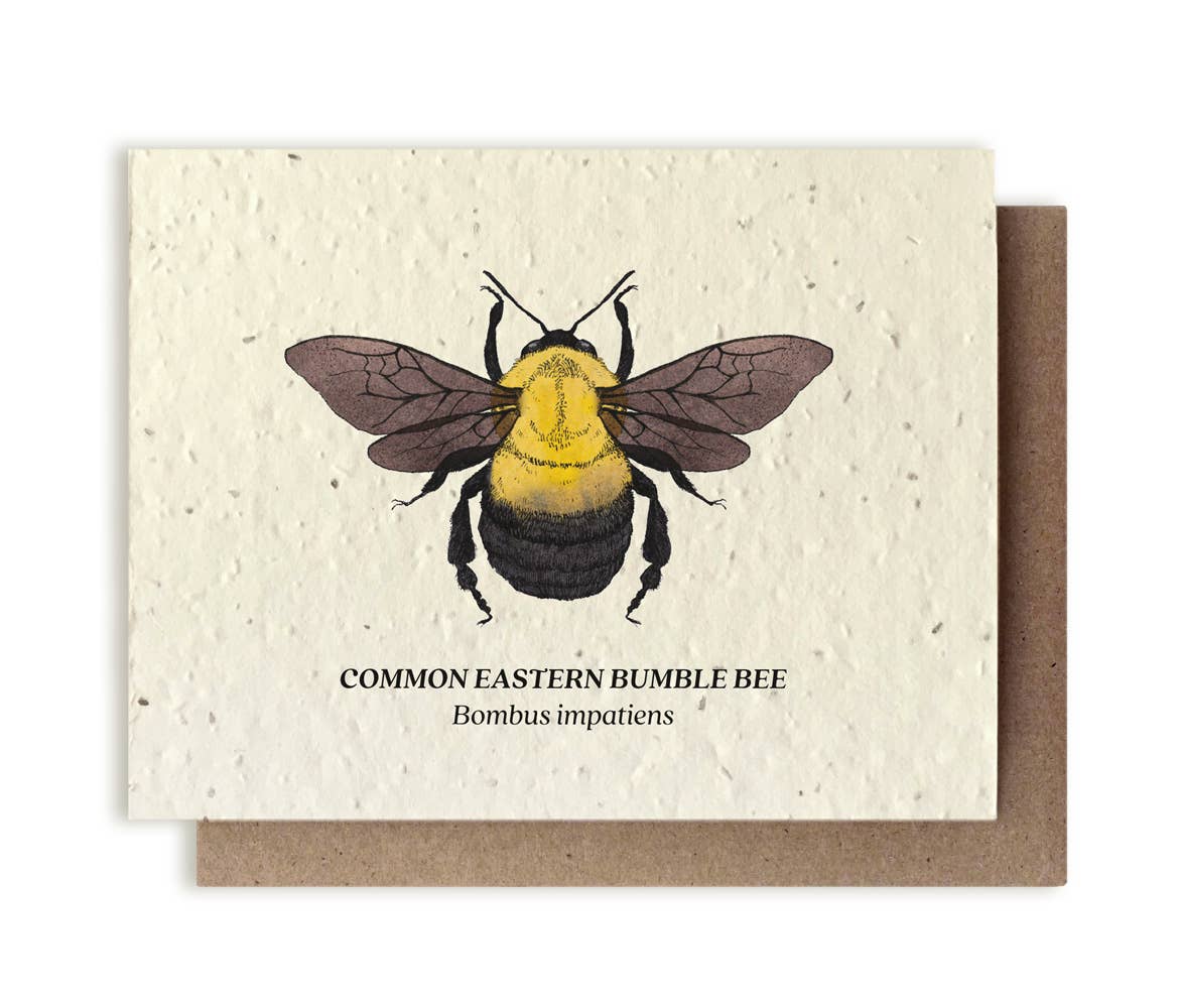 Bumble Bee Plantable Wildflower Seed Card: Glassine Sleeves