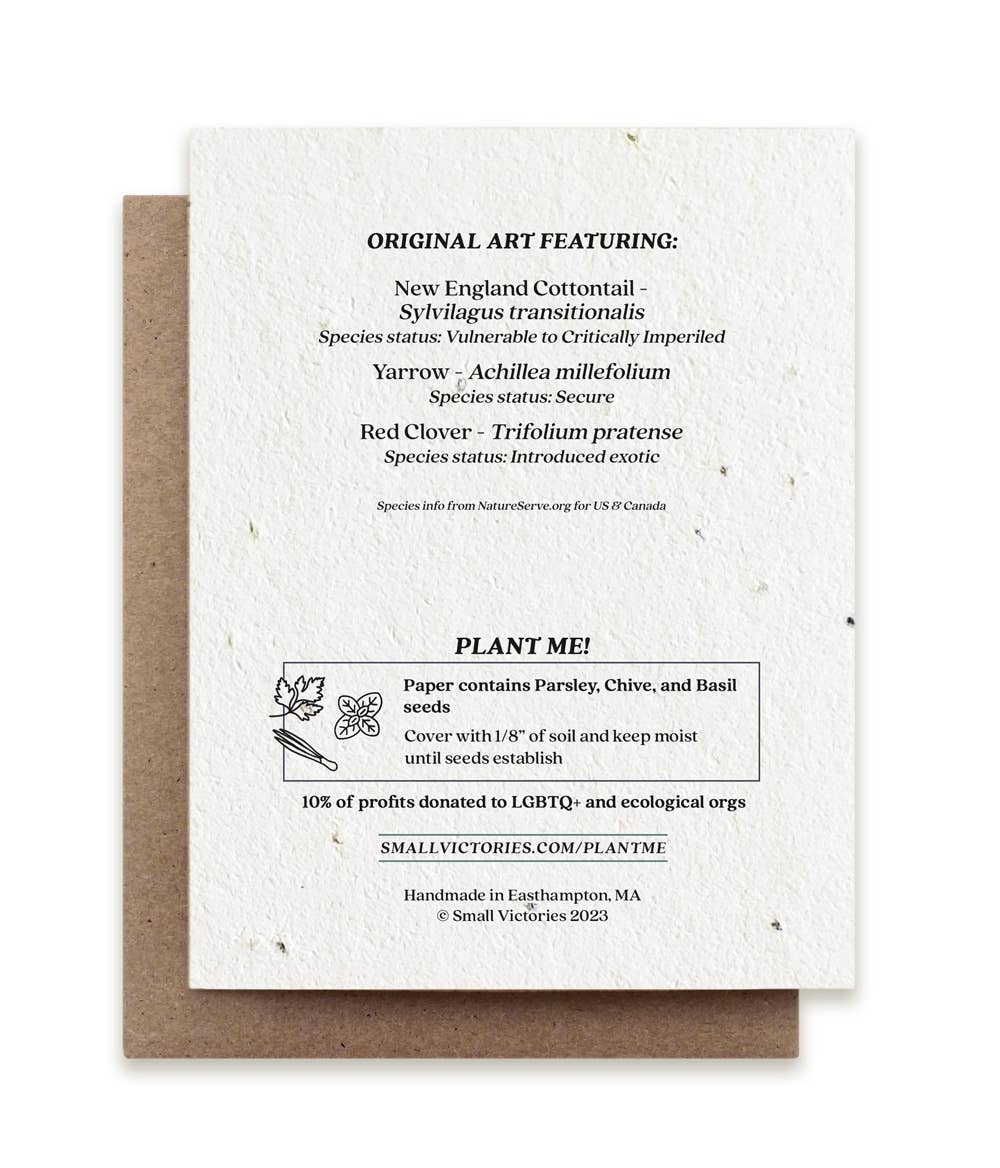 Rabbit Gathering Herbs Plantable Herb Seed Card: Glassine Sleeves