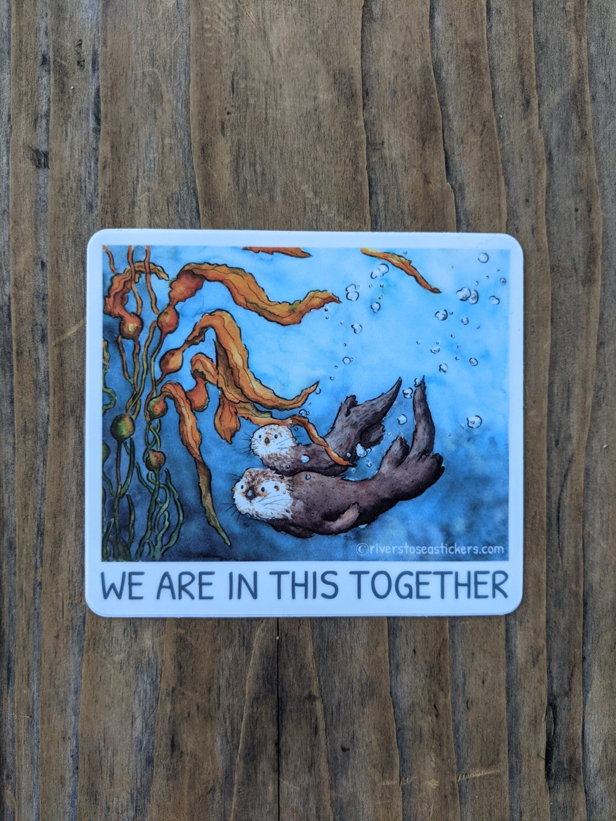 Rivers to Sea Sticker - We're In This Together Otters